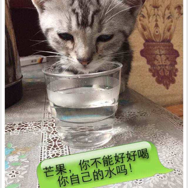 怎么办理一级建造师注册证